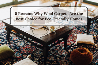 5 Reasons Why Wool Carpets Are the Best Choice for Eco-Friendly Homes