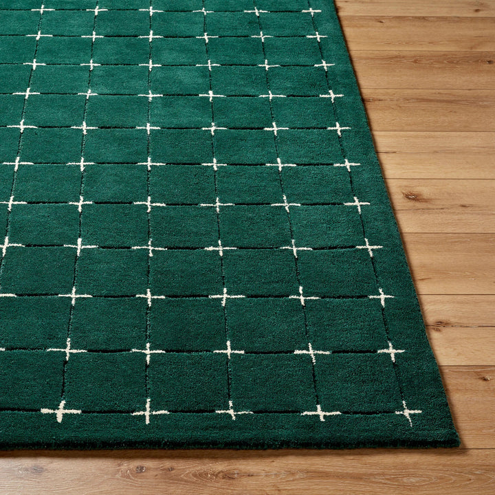 Dream Shape Hand Tufted Carpet