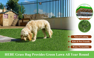 Carpet planet – High Density Artificial Grass 50MM (3.3 Feet width)