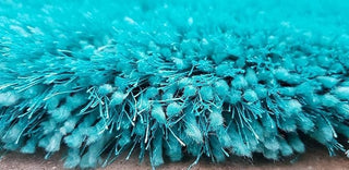Pluffi Shaggy Carpet & Rug