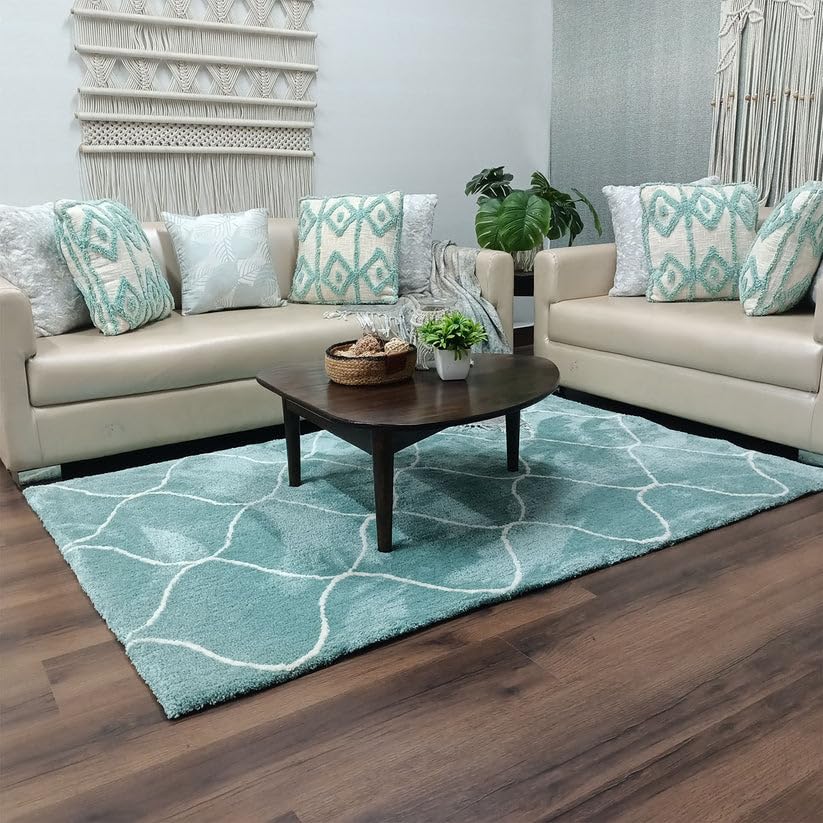Hewana Shaggy Carpet & Rug