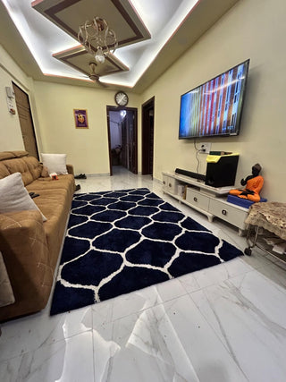 Lushious Shaggy Carpet & Rug