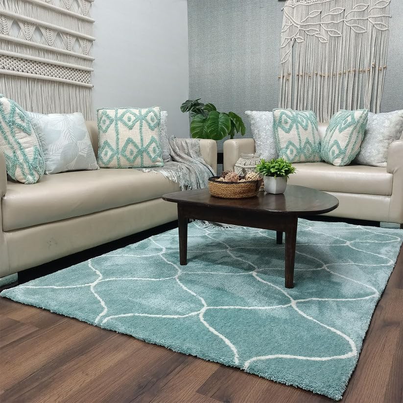 Hewana Shaggy Carpet & Rug