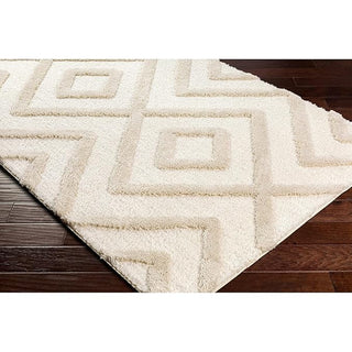 Cozeen Shaggy Carpet & Rug