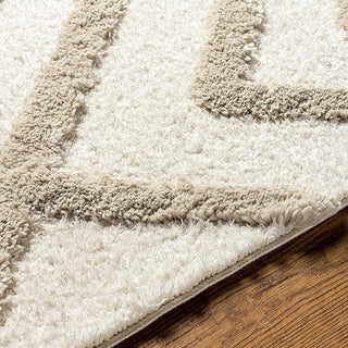 Cozeen Shaggy Carpet & Rug