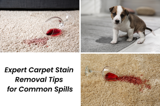 Expert Carpet Stain Removal Tips for Common Spills