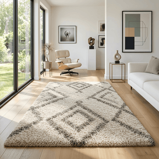 Tervelisse Shaggy Carpet & Rug
