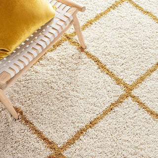 Hushla Shaggy Carpet & Rug