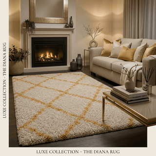 Lunvarique Shaggy Carpet & Rug