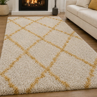 Lunvarique Shaggy Carpet & Rug