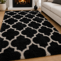 Zorlanique Shaggy Carpet & Rug