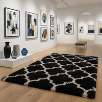 Zorlanique Shaggy Carpet & Rug