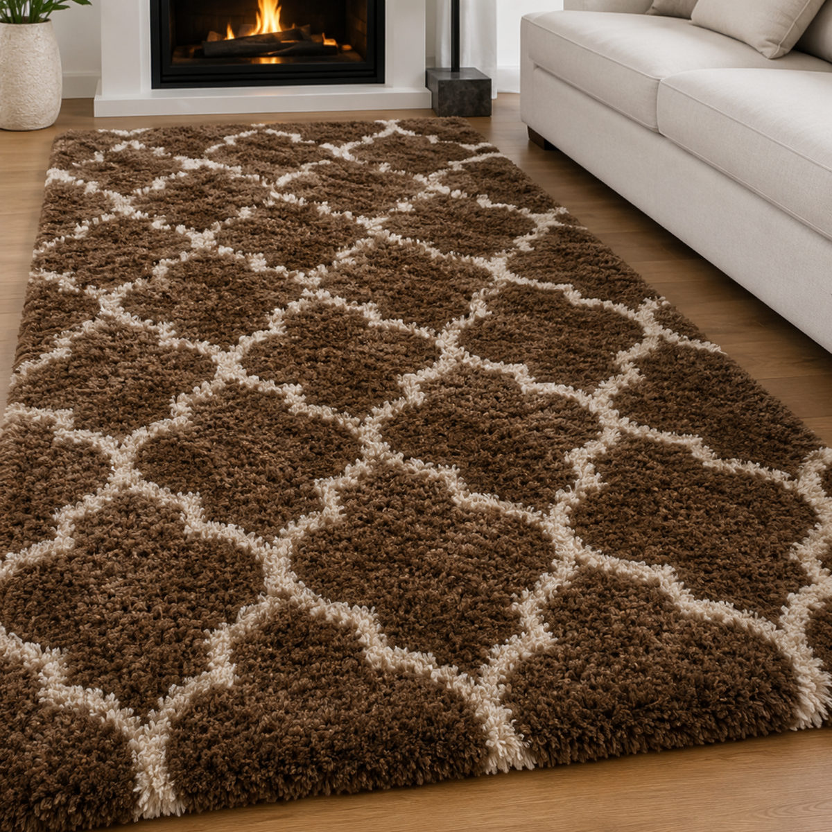 Quenvessia Shaggy Carpet & Rug