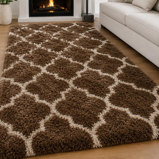 Quenvessia Shaggy Carpet & Rug