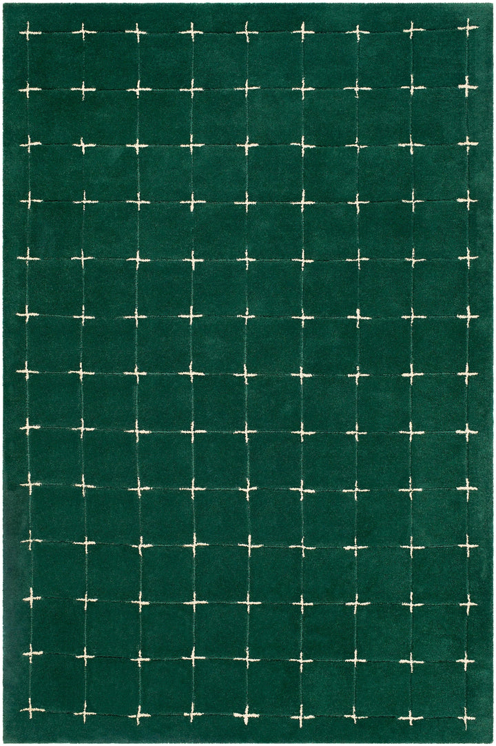 Dream Shape Hand Tufted Carpet