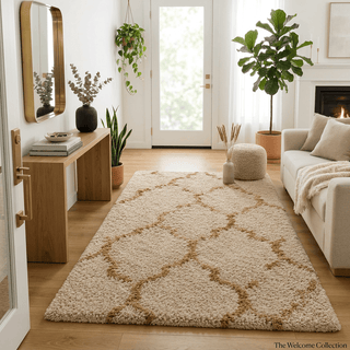 Roventra Shaggy Carpet & Rug