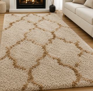 Roventra Shaggy Carpet & Rug