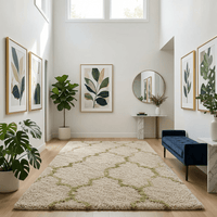 Avensoria Shaggy Carpet & Rug