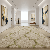 Avensoria Shaggy Carpet & Rug