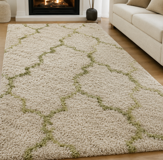 Avensoria Shaggy Carpet & Rug