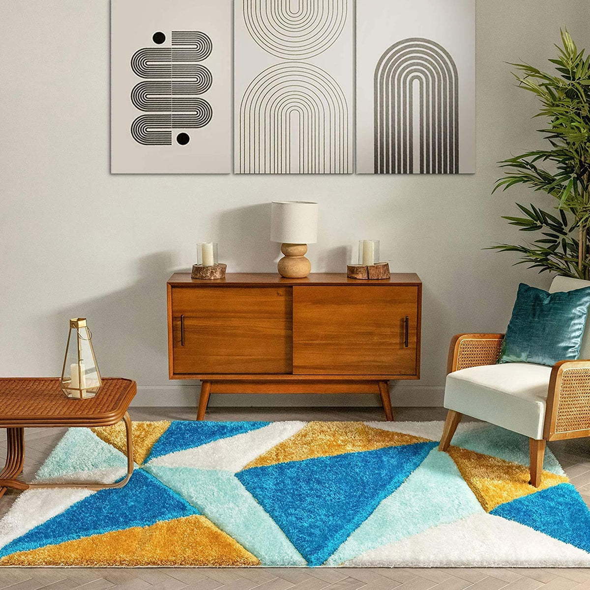 Cozygo Shaggy Carpet & Rug
