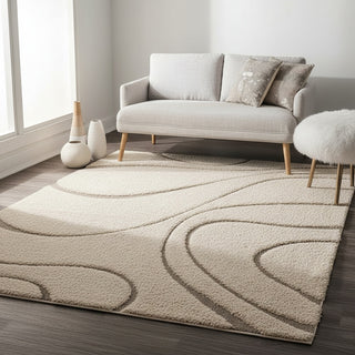 Furrade Shaggy Carpet & Rug