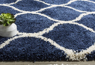 Lushious Shaggy Carpet & Rug