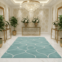 Hewana Shaggy Carpet & Rug