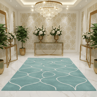 Hewana Shaggy Carpet & Rug