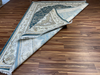 Raminah Iranian Carpet & Rug 8x11