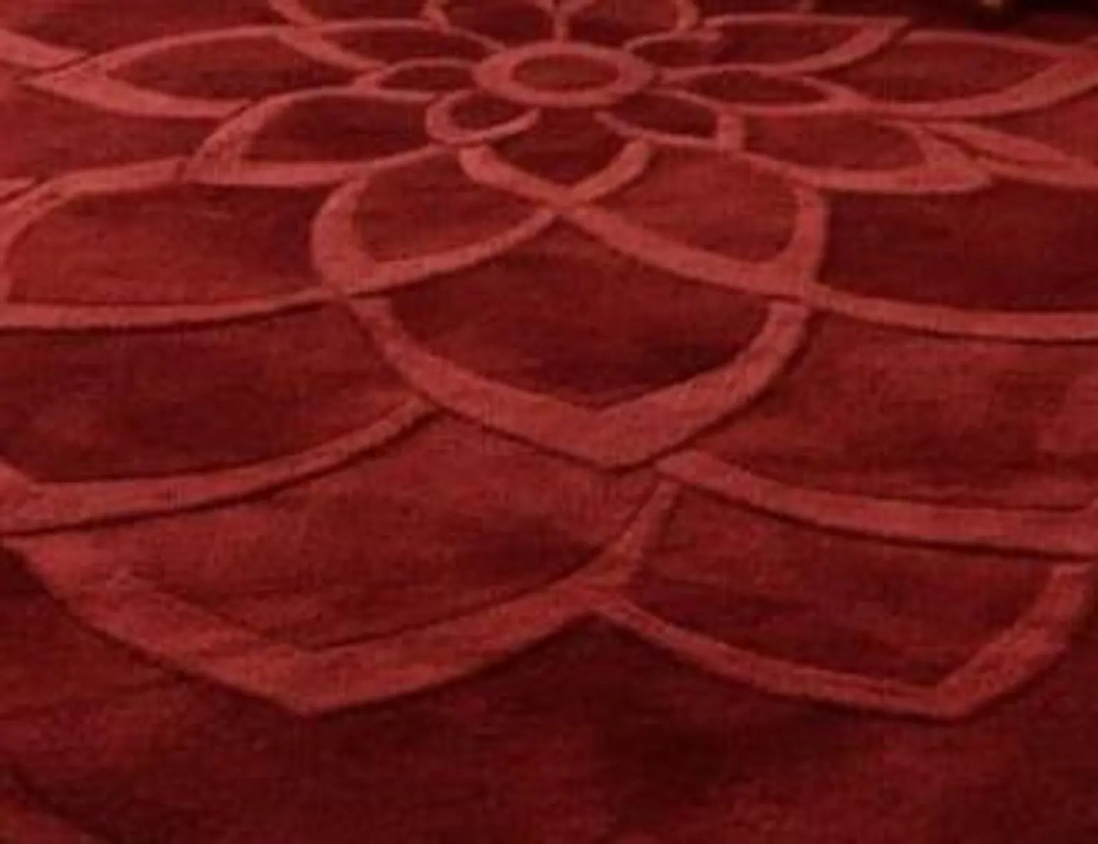 Snuggla Hand Tufted Carpet & Rug