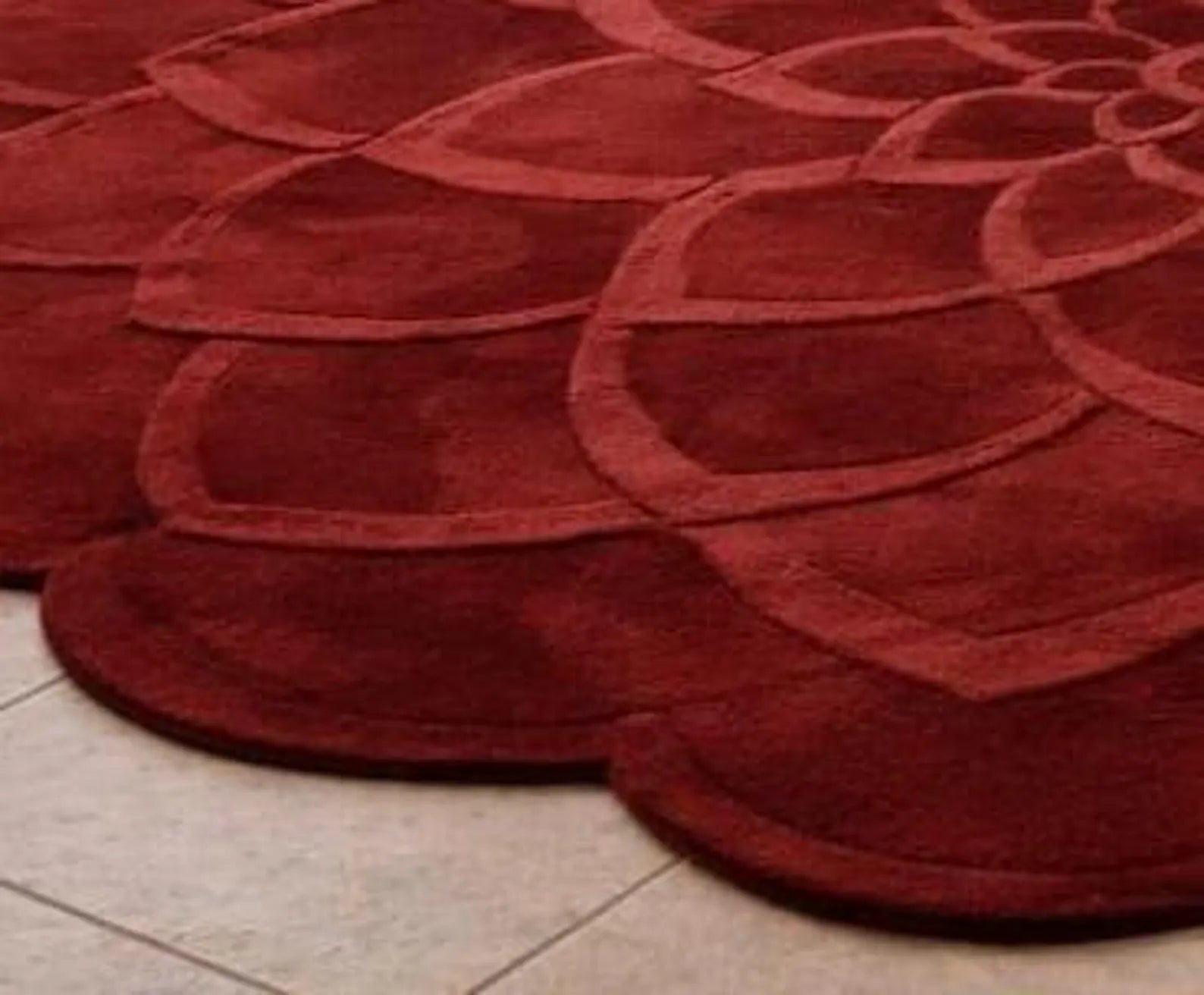 Snuggla Hand Tufted Carpet & Rug