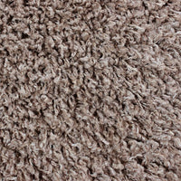 Lushify Shaggy Carpet & Rug