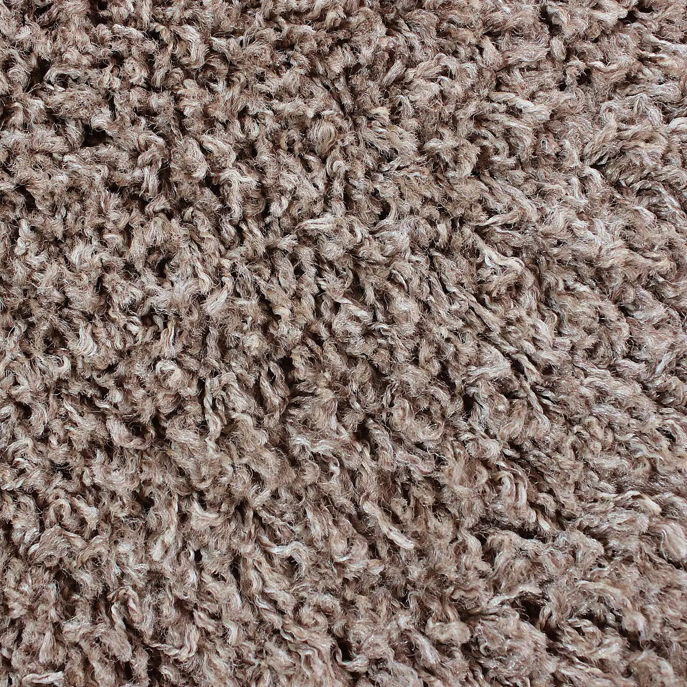 Lushify Shaggy Carpet & Rug