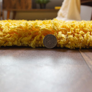 Plushenzo Shaggy Carpet & Rug