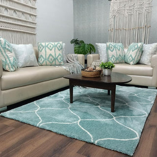 Hewana Shaggy Carpet & Rug