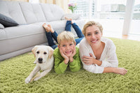 Luxfur Shaggy Carpet & Rug
