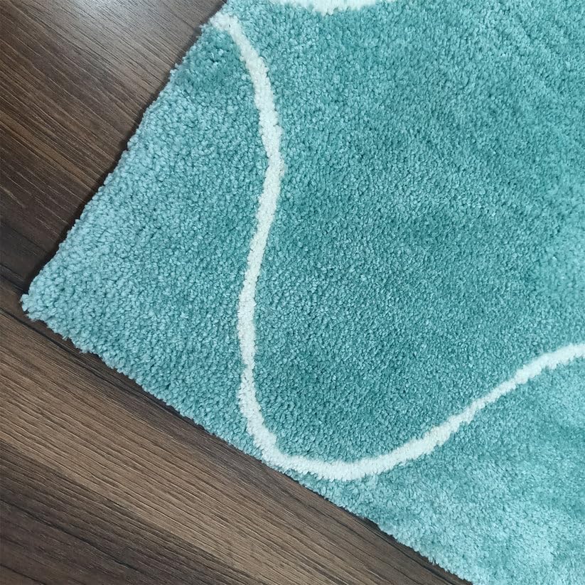 Hewana Shaggy Carpet & Rug