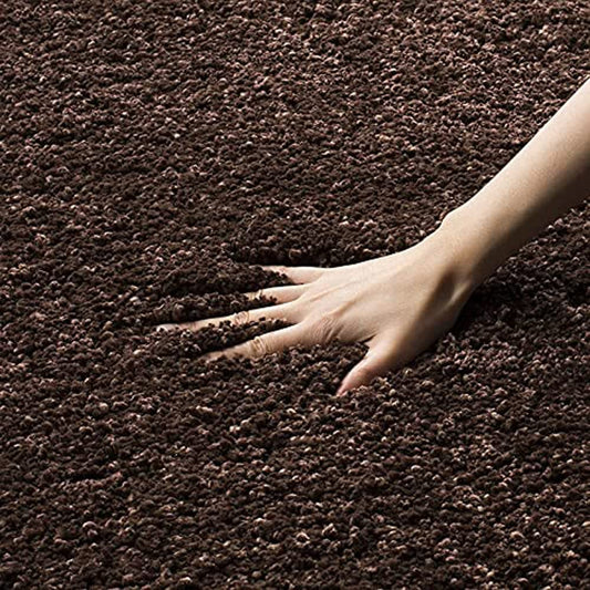 Plushique Shaggy Carpet & Rug