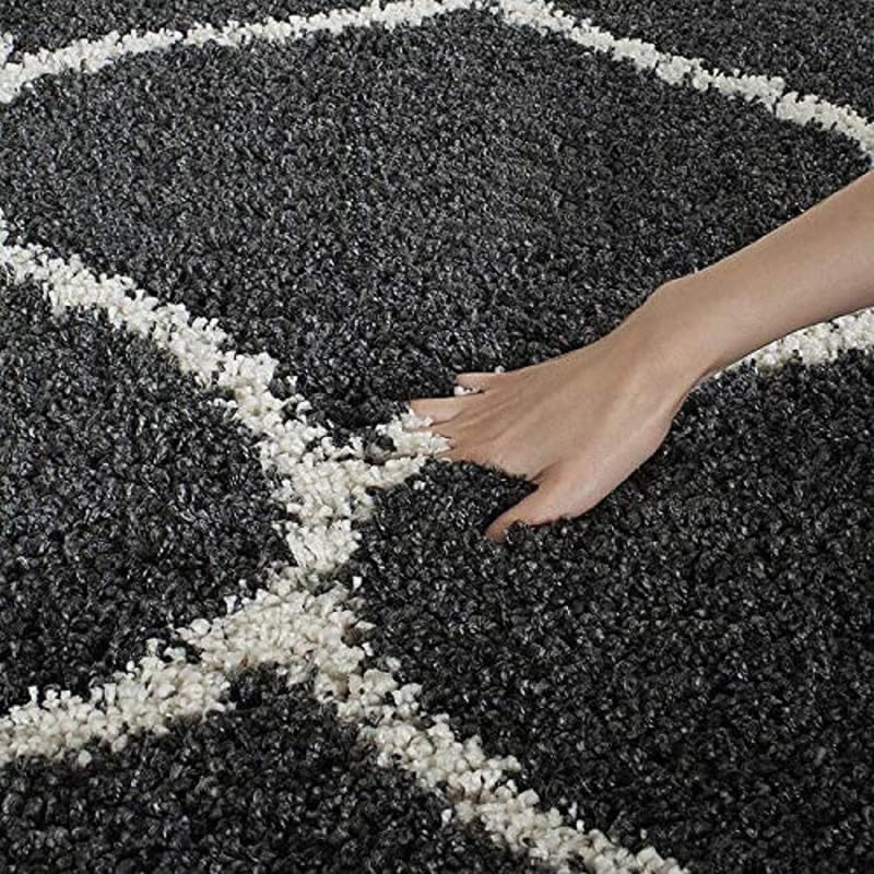 Daring Shaggy Carpet & Rug