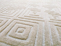Theefty Hand Tufted Carpet & Rug