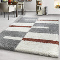 Plush Shaggy Carpet & Rug
