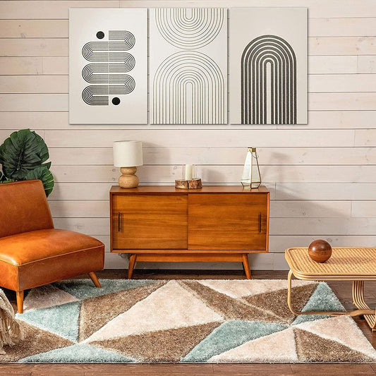 Lushnify Shaggy Carpet & Rug