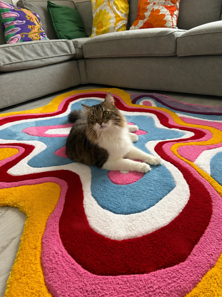 Luxora Irregular Hand Tufted Carpet