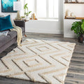 Cozeen Shaggy Carpet & Rug