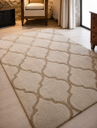 Trivolux Hand Tufted Carpet
