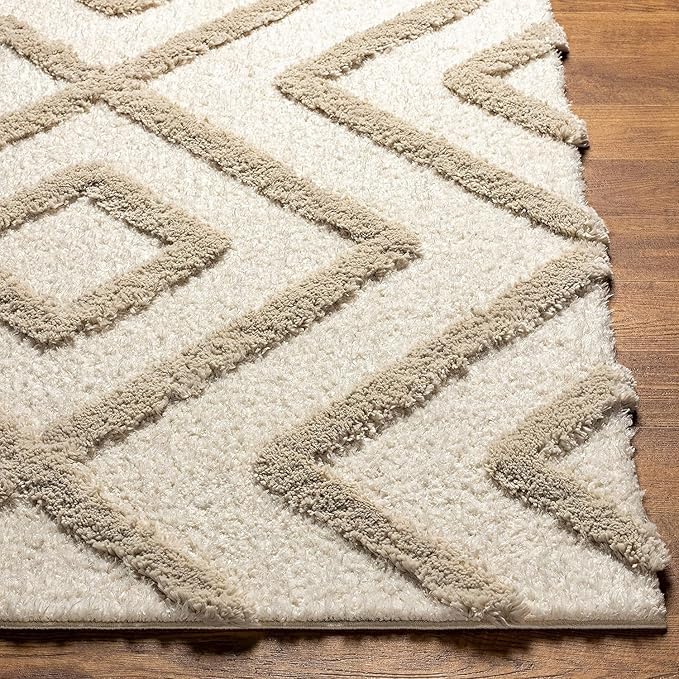 Cozeen Shaggy Carpet & Rug