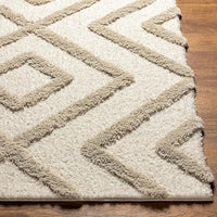 Cozeen Shaggy Carpet & Rug