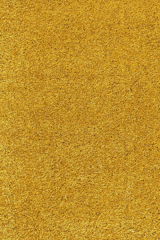 Plushenzo Shaggy Carpet & Rug