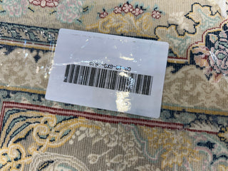 Shahin Iranian Carpet & Rug 6x9